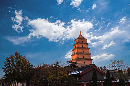 賞曲江美景，體驗(yàn)中國年