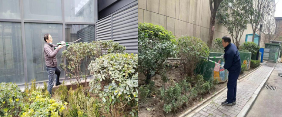 春風得意修綠化，打造宜居新環(huán)境